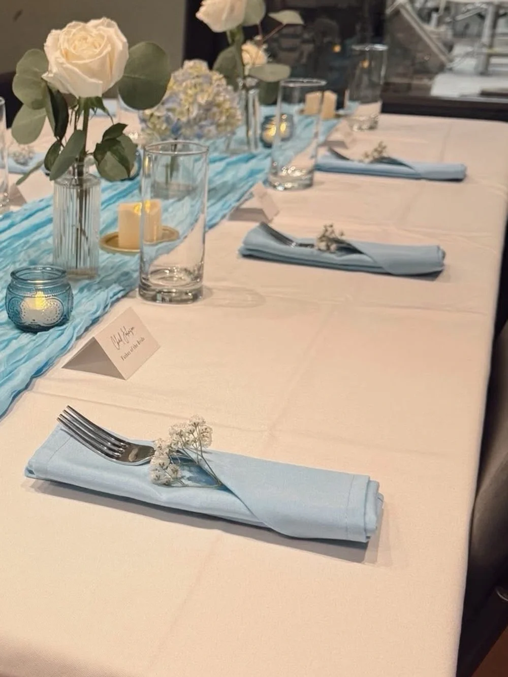 Light Blue Cloth Napkins Bulk (238 Total)